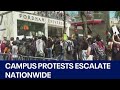 Campus palestine protests escalate nationwide  fox 7 austin