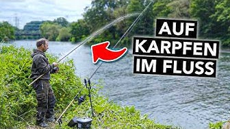 Karpfenangeln am Fluss für Anfänger 🎣 Alles, was du wissen musst (mit Robin Illner) thumbnail
