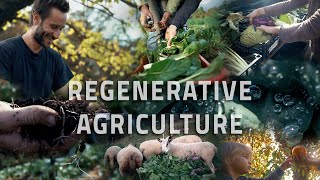 What is Regenerative Agriculture?