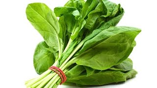 فوائد واضرار السبانخالقيمة الغذائية Benefits and harms of spinachNutritional value of spinach