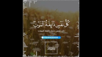 تلاوة هادئة تريح الأعصاب 😴🎧 القارئ: اسلام صبحى سورة: العنكبوت💙❤