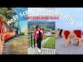 Brienz to Rothorn by Steam Train & Exploring Grindelwald | Full Guide 2025
