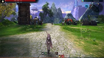 Tera- First Impressions, Closed Beta 2