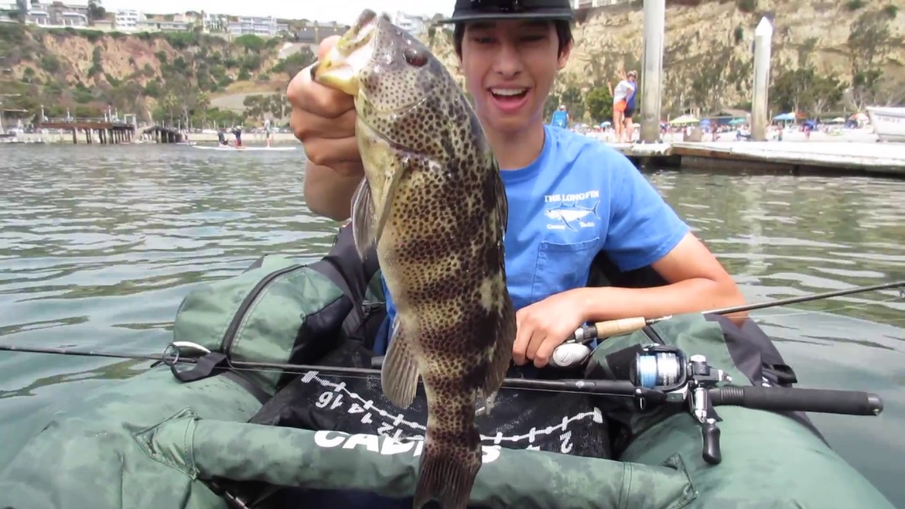 Dana Point Harbor Fishing Float Tube Fishing YouTube