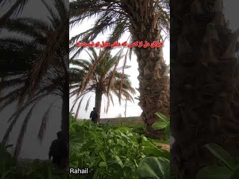 بامامشترک شوید