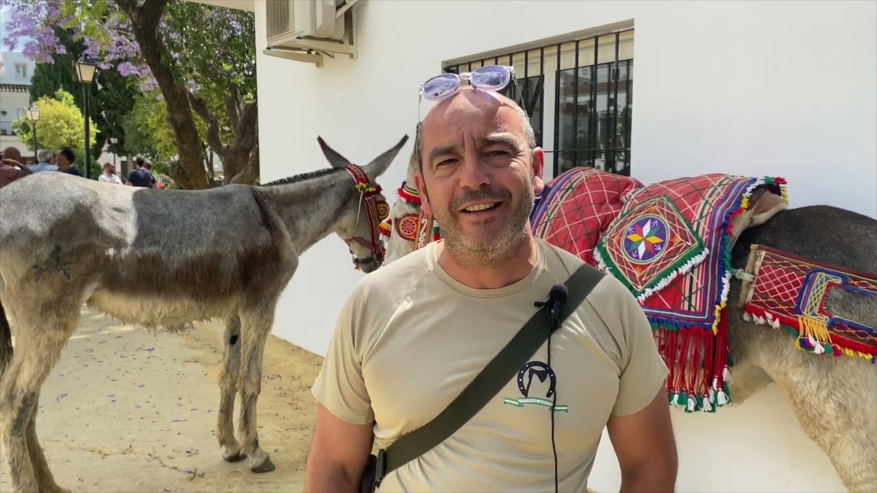 DE LA ARRIERÍA A LA ETERNIDAD. ALCALÁ DE LOS GAZULES.