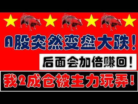 亚太股市普涨！A股逆势变盘大跌！我2成仓被市场玩弄了一次！后面势必加几倍赚回来！（2026.3.17股市分析）