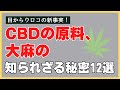 CBDの原料、大麻の知られざる秘密12選