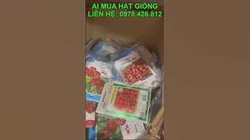 bán buôn bán lẻ hạt giống cà chua nhập khẩu thái lan nguyên bao bì, bán hạt giống toàn quốc