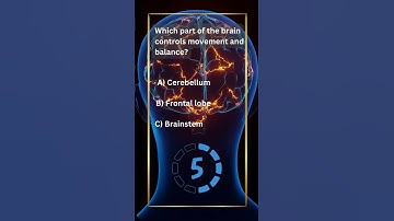 Which part of brain controls movement and balance? #education #brainresearch #quiz