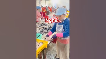 @carophivietnam ✅ Nghề Phi-Lê Cá Rô Phi ở nhà máy Miền Tây #vieclamthuysan #congnhanthuysan