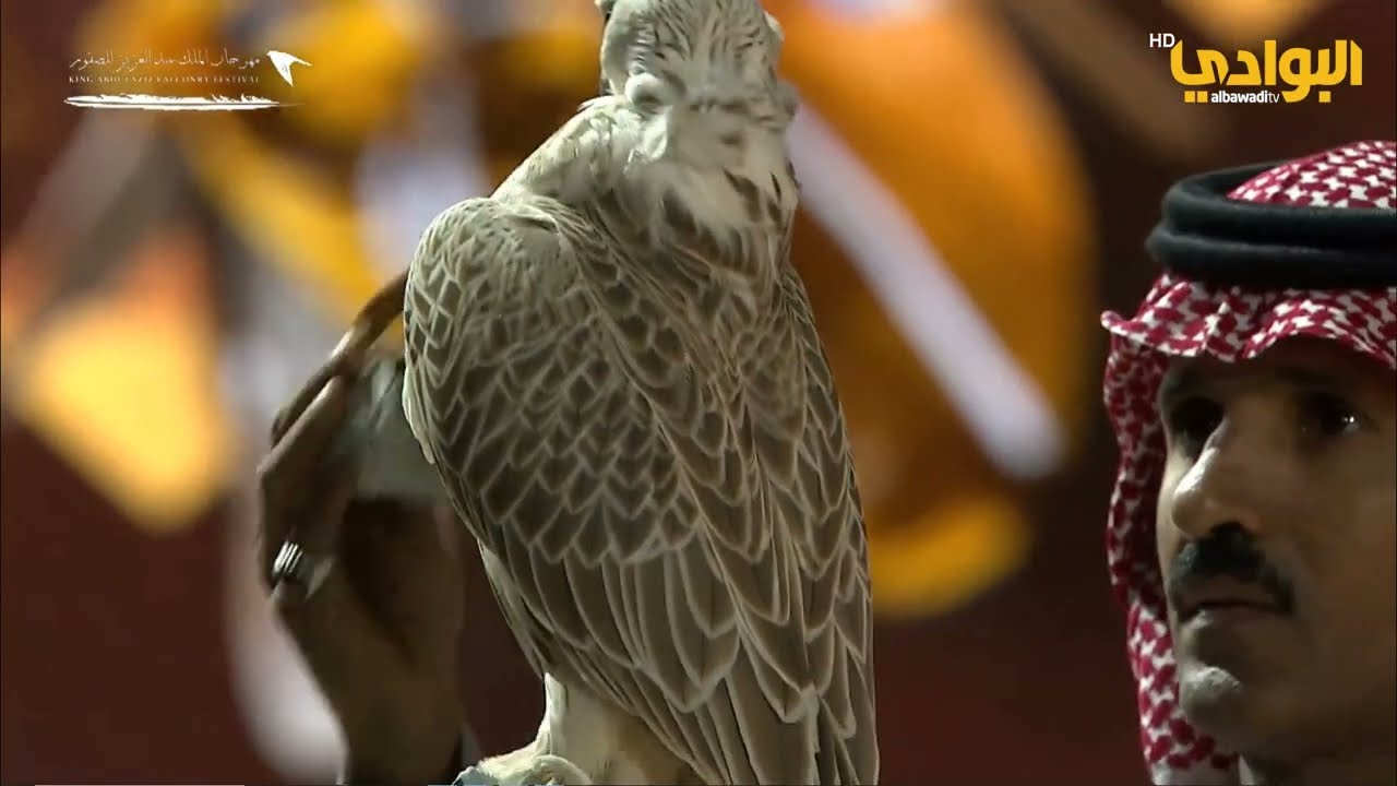 مزاين الطيور | مهرجان الملك عبد العزيز للصقور 2023 | اليوم الأول