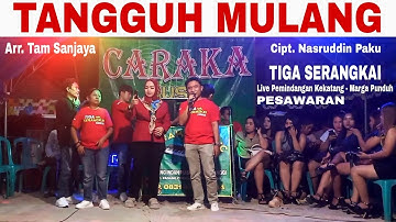 LAGU #LAMPUNG‼️#TANGGUH_MULANG CIPT. #NASRUDDIN_PAKU VOC. #TIGA_SERANGKAI LIVE PANGGUNG TERBARU