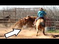 Cowboy drags under bucking horse