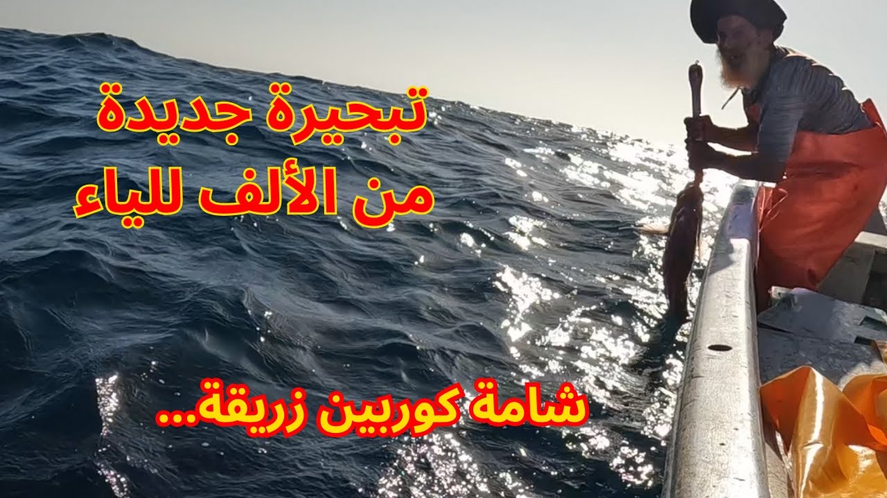 مع الرايس كشتور: تبحيرة من الألف إلى الياء والحصيلة أسماك حمراء وبياسة كوربين ....