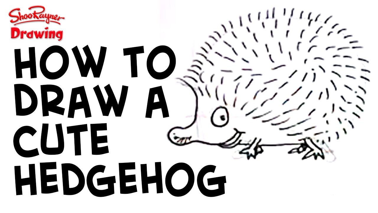 How to draw a cartoon hedgehog really easily - Shoo Rayner Drawing School -  YouTube