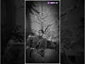 Hello kaun#ytshort#video #nitya shukla 786💜💜💜💜💜