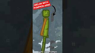 How to make a MELON with a PUMPKIN ARM in MELON PLAYGROUND!