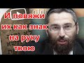 И повяжи их как знак на руку твою. Рав Элиэзер Ксидо