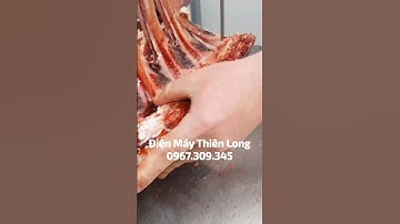 Máy Cưa Xương Cắt Thịt Cá Đông Lạnh ALPHA | Điện Máy Thiên Long📞0️⃣7️⃣9️⃣7️⃣8️⃣6️⃣8️⃣7️⃣8️⃣8️⃣