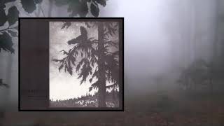 Watch Empyrium Where At Night The Wood Grouse Plays video