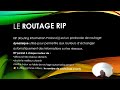 Une simple topologie de routage dynamique RIP
