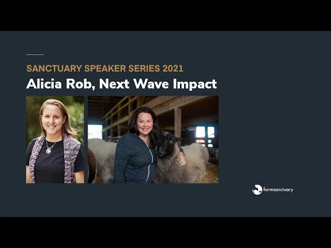 Sanctuary Speaker Series: Alicia Robb of Next Wave Impact