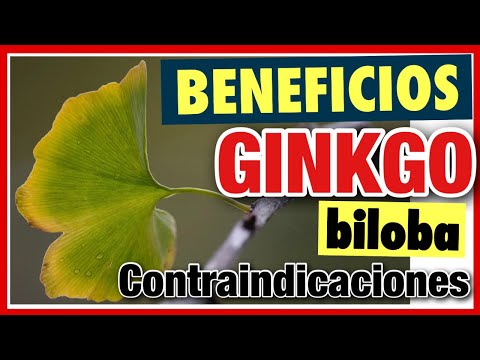 Vídeo: 21 Efectos Secundarios Del Ginkgo Biloba Que Debe Conocer