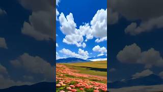 beautiful Nature video short ♥️🌸🌿