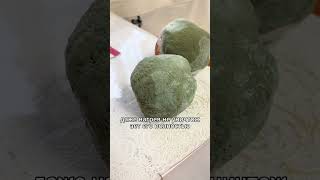 #Science #popular #Mold