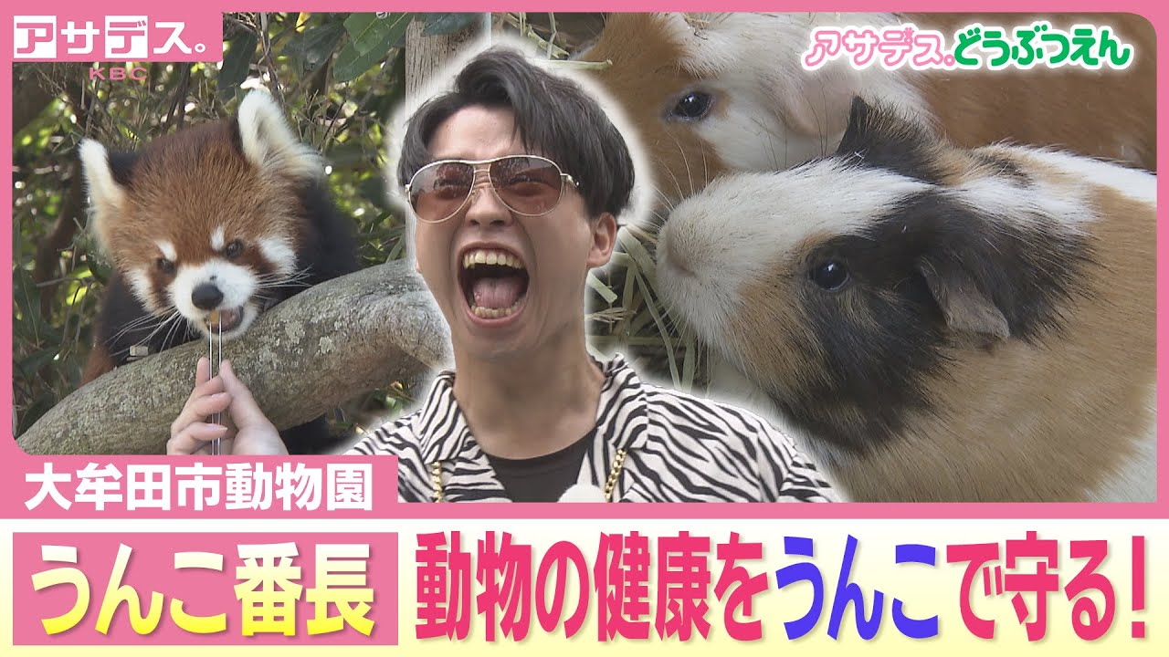 はらけんが生き物リポート！【アサデス。どうぶつえん】ガマダセ動物園にうんこ番長⁉