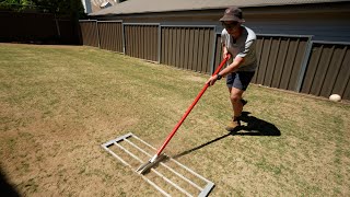 Home Lawn Renovation