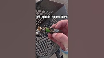 Most Unexpected Find of the Day | Metal Detecting Daytona Beach w/ Minelab Manticore