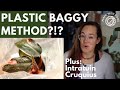 Plastic Baggy Method?!? Plus House Plant Tour Intratuin Cruquius | The Plant Show 001 with Roos