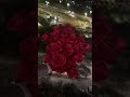 Rosas eternas “𝐄𝐦𝐩𝐚𝐜𝐚𝐧𝐝𝐨 𝐬𝐨𝐧𝐫𝐢𝐬𝐚𝐬 𝐩𝐚𝐫𝐚 𝐞𝐥 𝐚𝐥𝐦𝐚” #rosaseternas #rosas