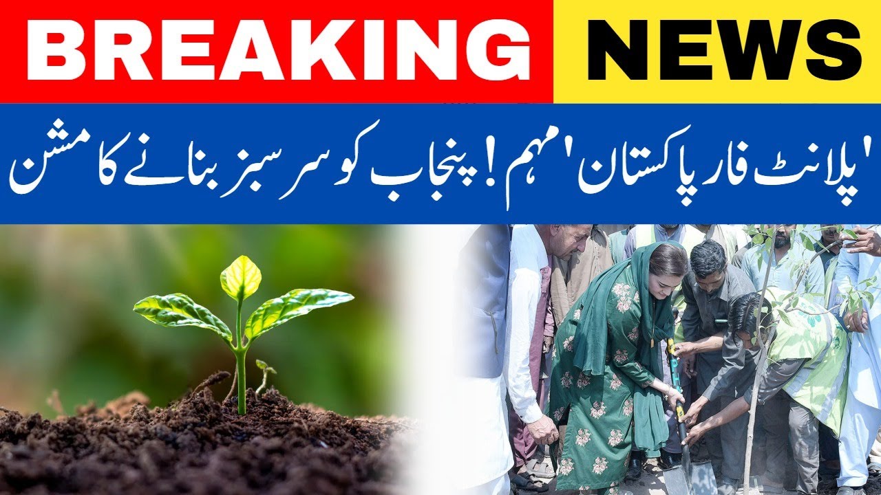 Plant for Pakistan Campaign in Punjab | Green Pakistan Initiative ...