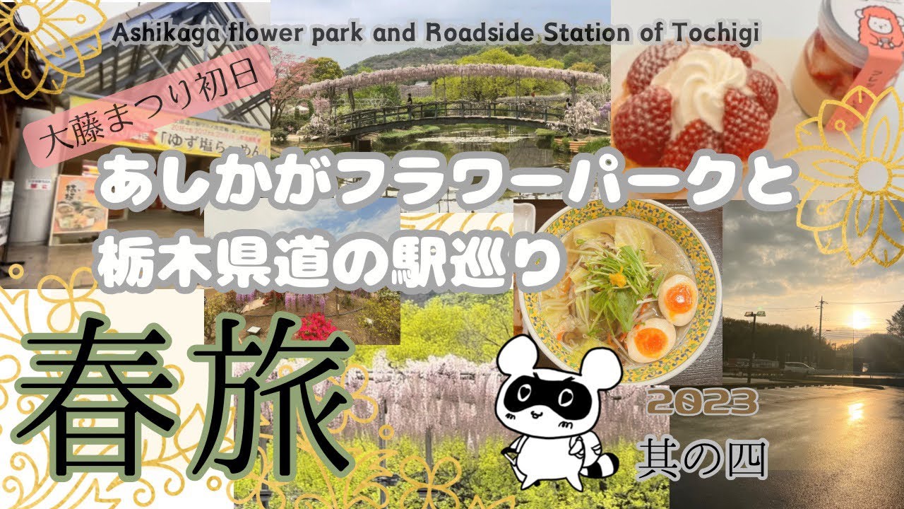春旅〜四〜女子旅/あしかがフラワーパーク/大藤まつり/栃木県道の駅巡り/道の駅もてぎ/ゆず塩らーめん【旅vlog vol.4】