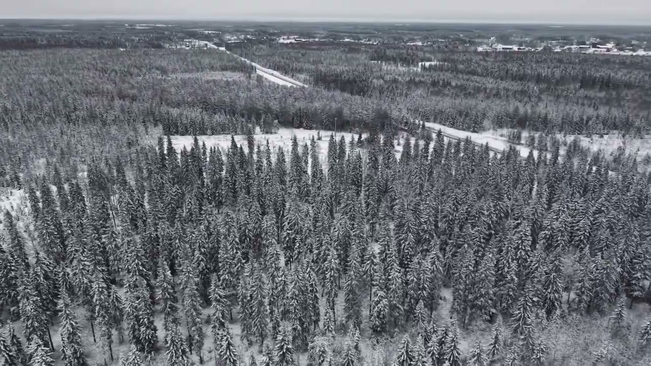 Frozen Wilderness: Drone Footage from Finnish Lapland