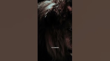 "Turn Setbacks into Comebacks"