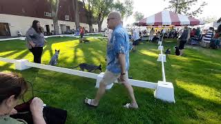 Black Foot Puppy Show June 14 2024