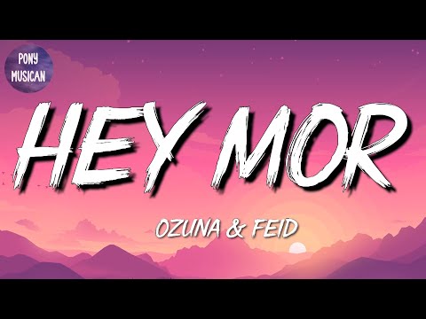 🎵 [Reggaeton] Ozuna Ft. Feid - Hey Mor | Bad Bunny, Myke Towers, Wisin (Mix)