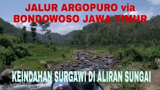 GUNUNG ARGOPURO // PUNCAK RENGGANIS // VIA BONDOWOSO KEC PAKEM// Jalur Trabas Trail.