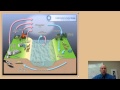 Biogeochemical Cycles: The Journey of Matter Through Ecosystems