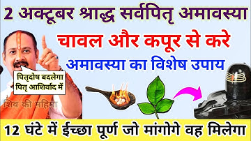 2 अक्टूबर पितृ अमावस्या पर चावल और कपूर का चमत्कारी उपाय सभी करें-Pradeep ji mishra #अमावस्या