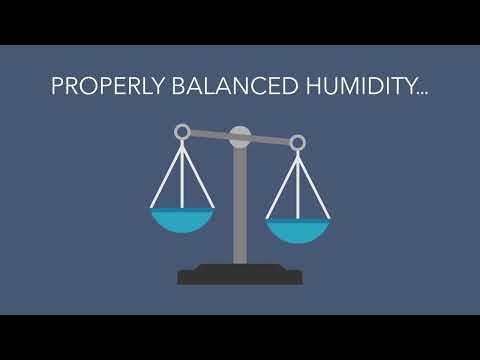 Facts About Humidity - HL Bowman Inc.