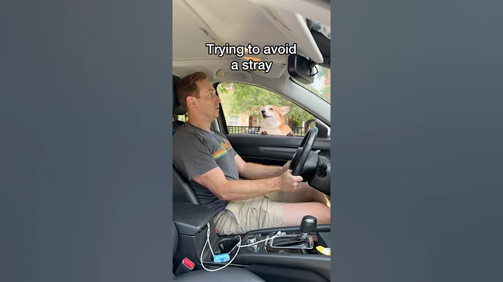 Don’t make eye contact!