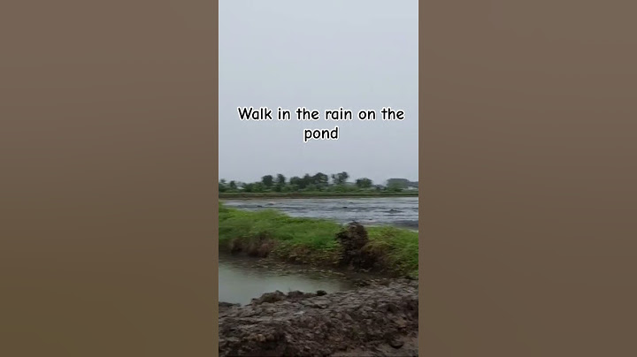 When it rains walk in the pond.#Shorts