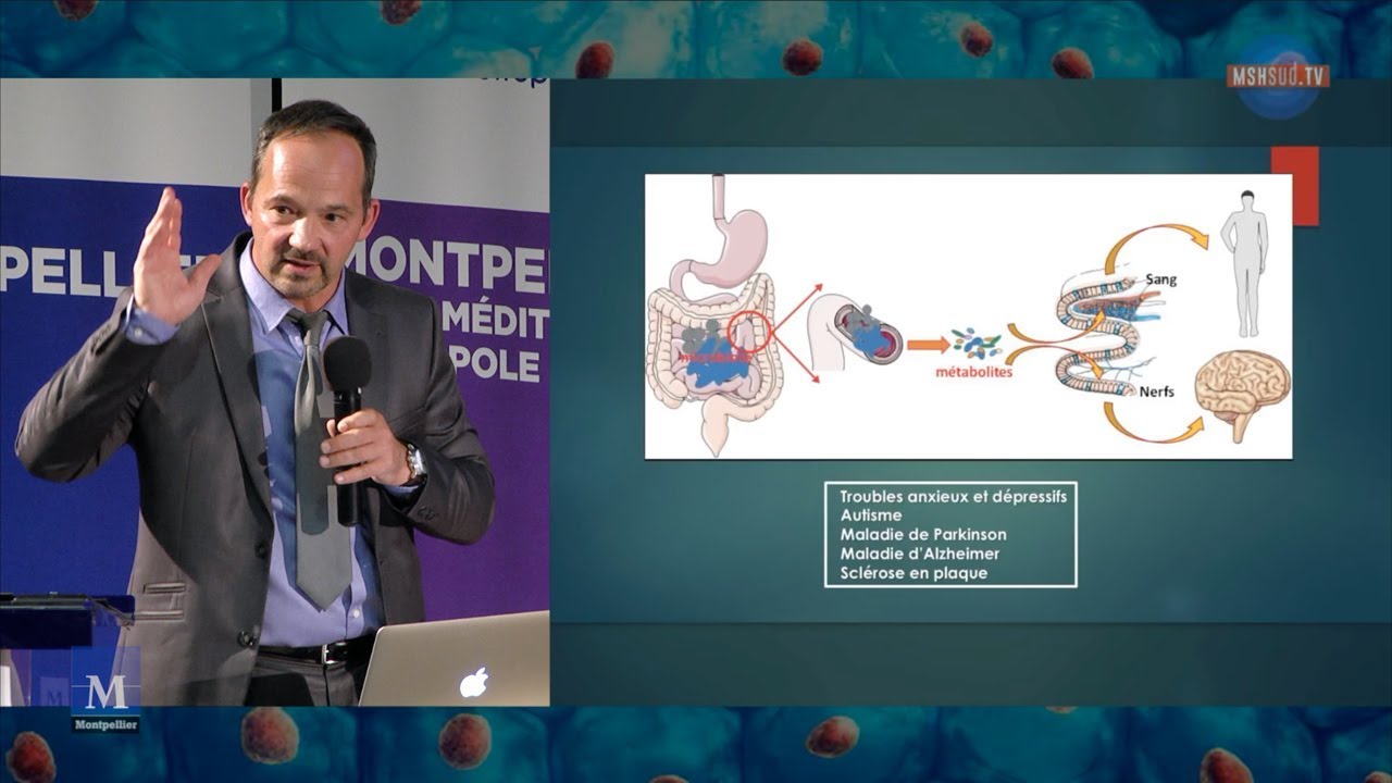 A-t-on un deuxième cerveau dans le ventre avec notre microbiote intestinal ?