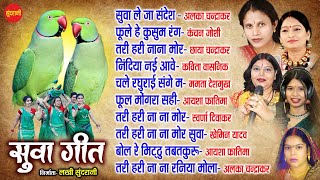 Suva Geet - सव गत - Top -10 - Audio Jukebox - Cg Song - New Song 2023