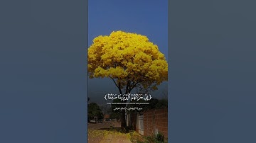 قراءة القرآن الكريم بصوت اسلام صبحي اني جزيتهم الليوم بما صبرو